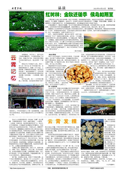 ������ѶƷ��