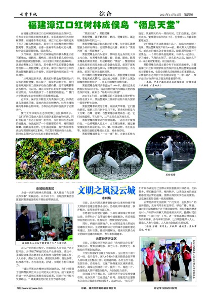 ������Ѷ�ۺ�