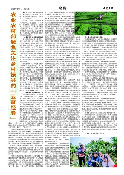 ������Ѷ�۽�