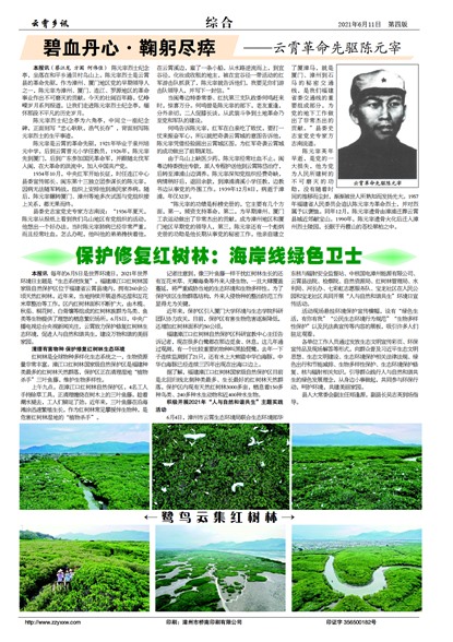 ������Ѷ�ۺ�