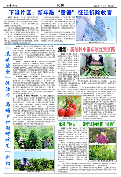 ������Ѷ�۽�