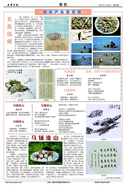 ������Ѷ�۽�