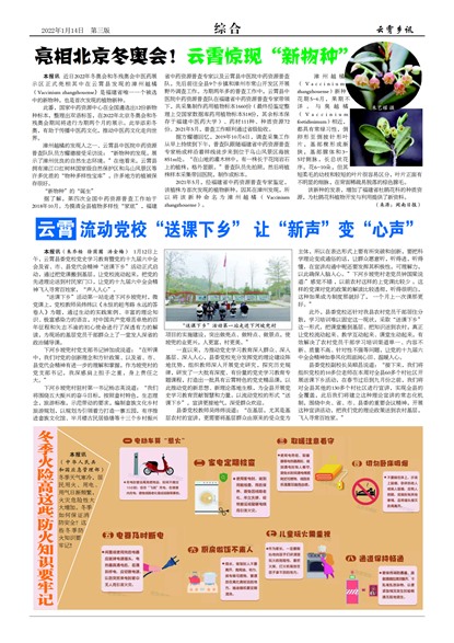 ������Ѷ�ۺ�