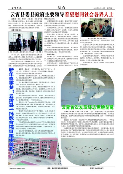 ������Ѷ�ۺ�