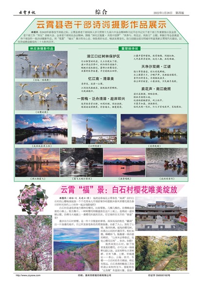 ������Ѷ�ۺ�